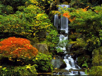 Portland Japanese Garden