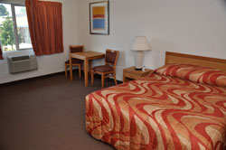 One Queen Bed